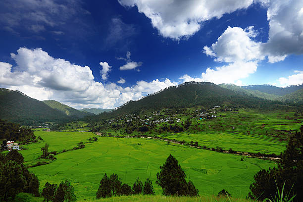 Delhi Nainital Kausani Corbett Delhi-4N/5D