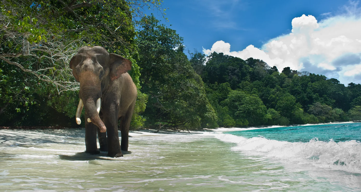 Andaman Memoirs - 7N/8D