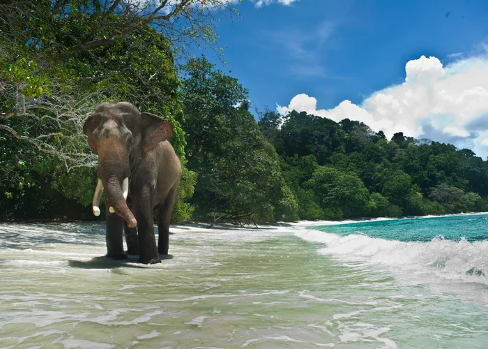 Andaman Memoirs