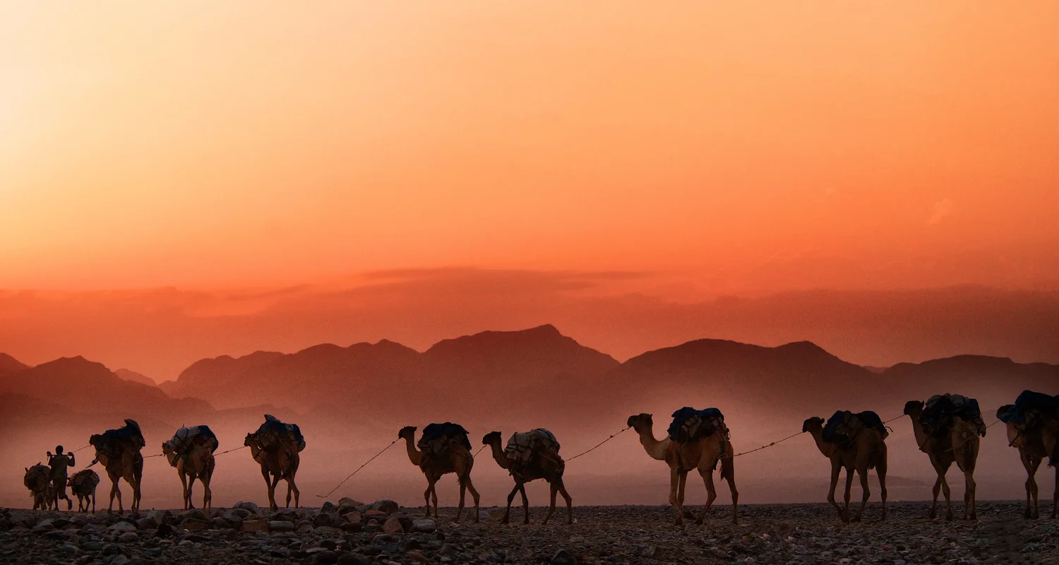Royal Rajasthan – Bikaner, Jaisalmer & Jodhpur - 7D / 6N