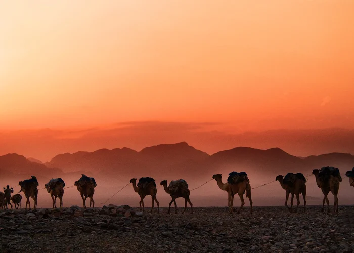 Royal Rajasthan – Bikaner, Jaisalmer & Jodhpur