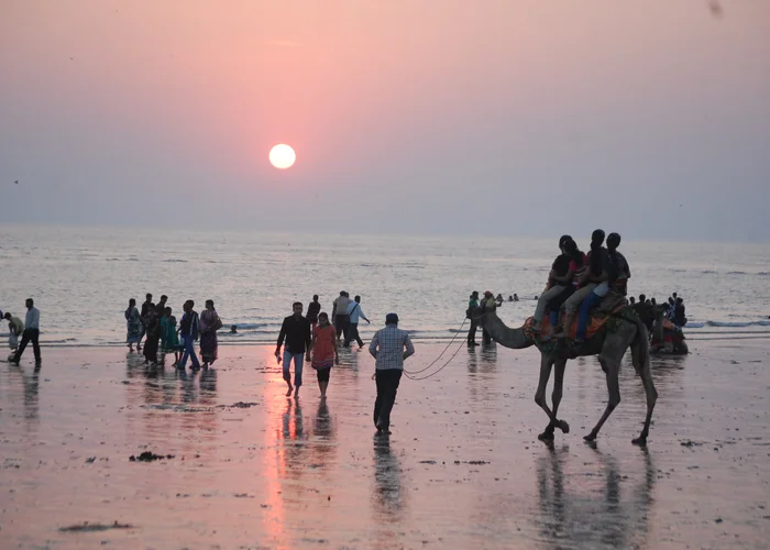 Kutch Majestic Trails