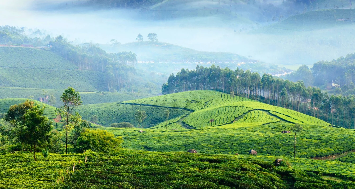 Mystic Hills to Serene Backwaters - 4N/5D