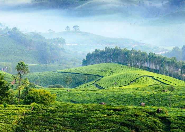 Mystic Hills to Serene Backwaters