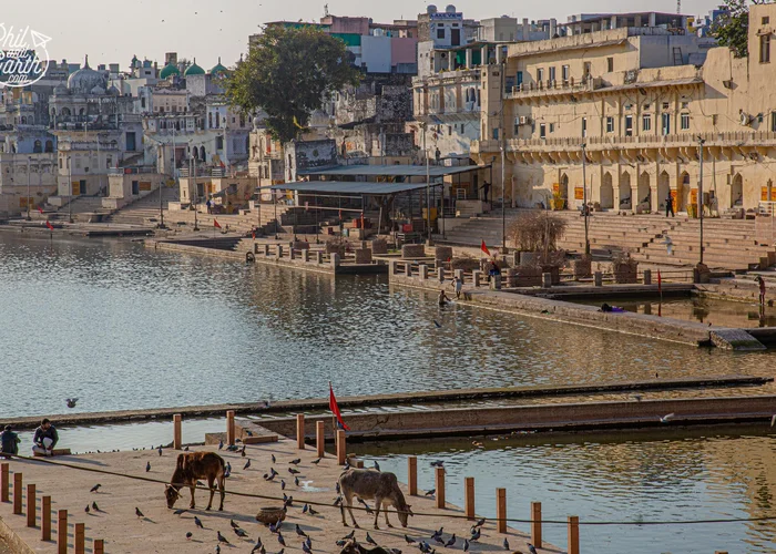 Delhi Mandawa Bikaner Jaisalmer Jodhpur Pushkar Ajmer Jaipur Delhi