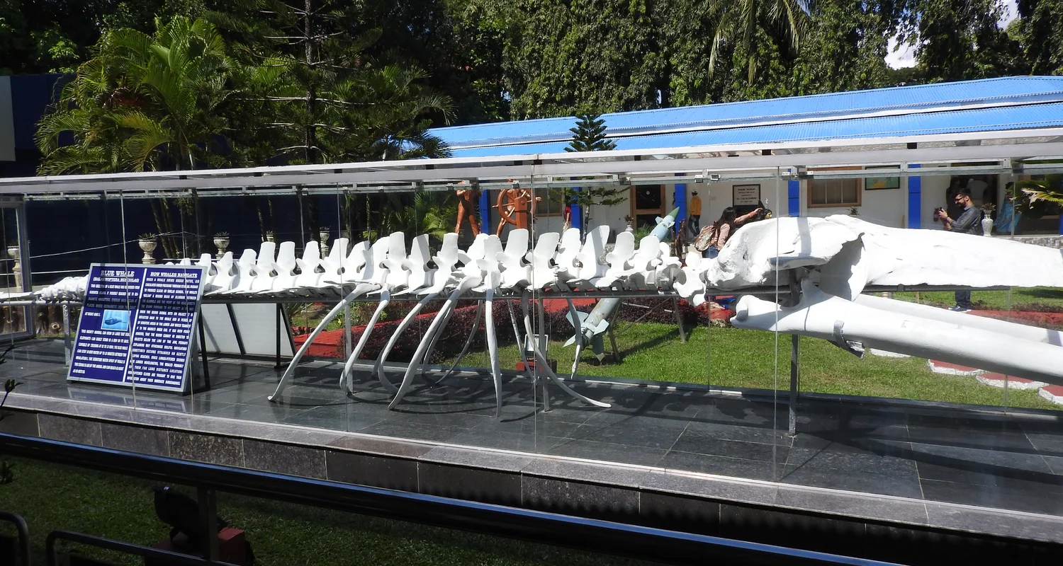 Glimpses of Andaman Paradise - 3N/4D
