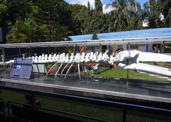 Glimpses of Andaman Paradise